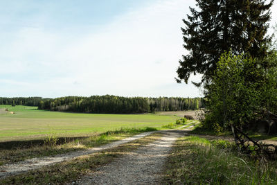 Dirt road along landscape and against sky