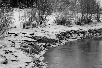 Scenic view of river in forest during winter