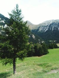 Scenic view of tree mountains against sky