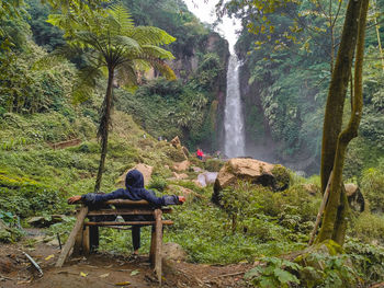 Scenic view of waterfall in forest