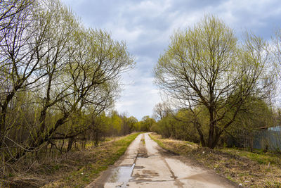 Empty road along bare trees against sky