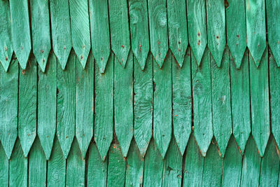 Full frame shot of green leaves