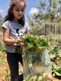 Young girl holding salad leafs from the orchard