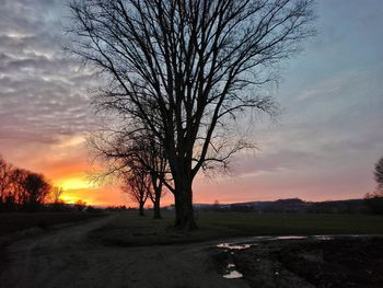 Bare tree on landscape against sky at sunset