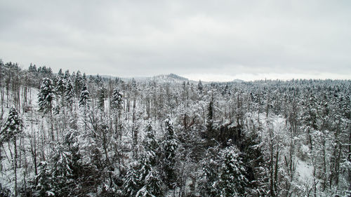 Scenic view of snow covered land against sky