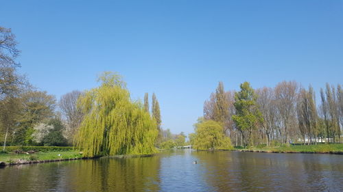 Scenic view of lake against clear blue sky