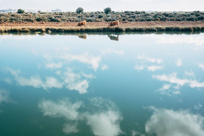 Reflection of sky and clouds in water
