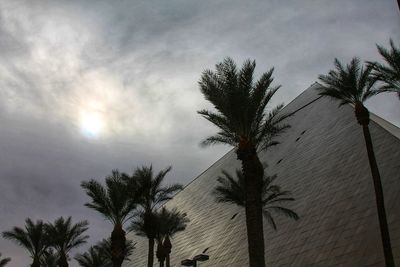 Low angle view of palm trees against sky