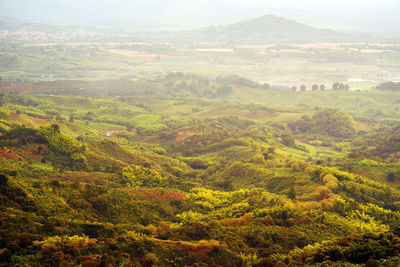 High angle view of landscape