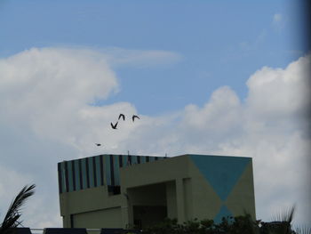 Low angle view of birds flying against sky