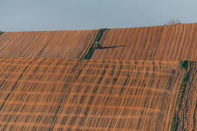 Low angle view of agricultural field against sky