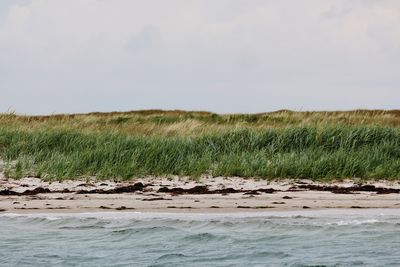 Scenic view of land against sky