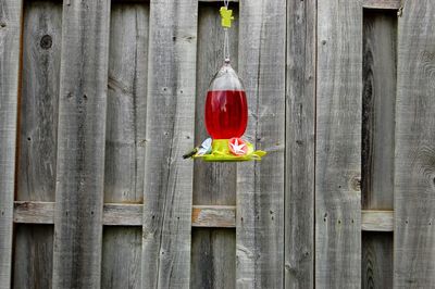 Close-up of bird feeder