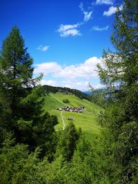High angle view of trees on landscape against sky