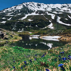 Scenic view of lake by snowcapped mountains