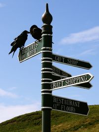 Low angle view of road sign against sky