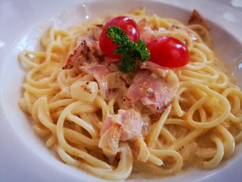 Close-up of noodles served in plate