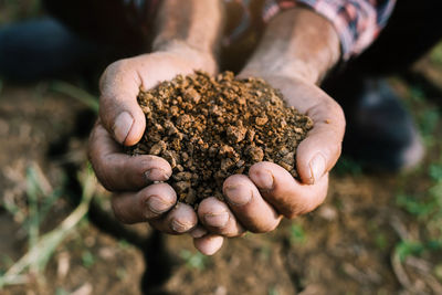 Close-up of hand holding plant