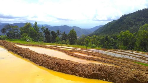 Scenic view of agricultural landscape against sky