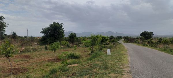 Road by trees on field against sky