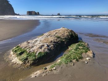 Scenic view of beach