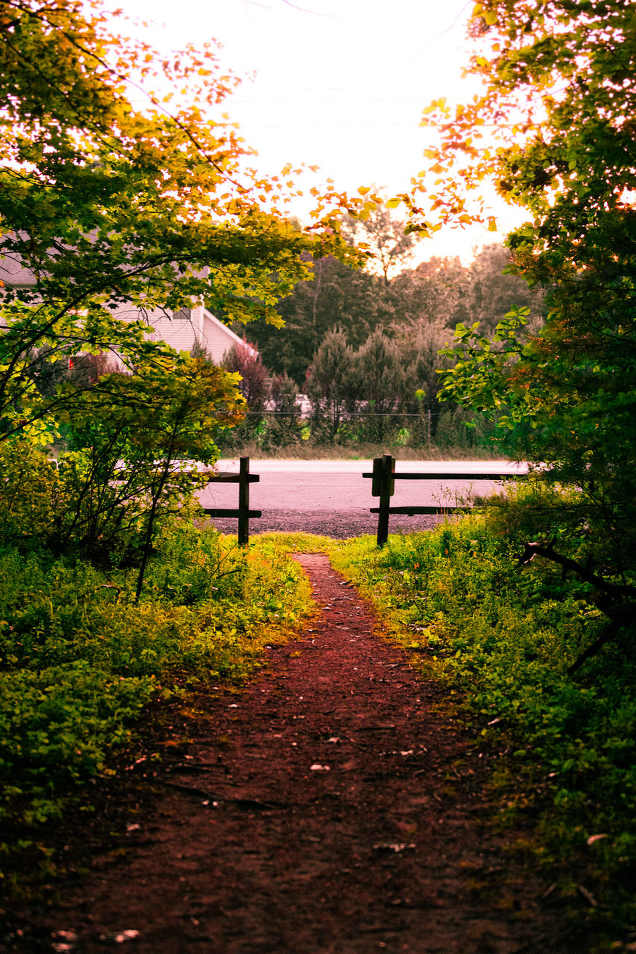 Photography By Tim Patrick