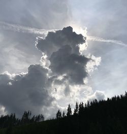 Low angle view of silhouette trees against sky