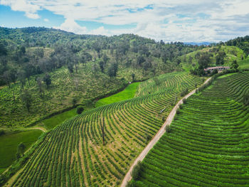 landscape
