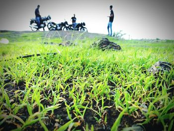 People on grassy field