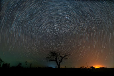 Low angle view of silhouette trees against sky at night