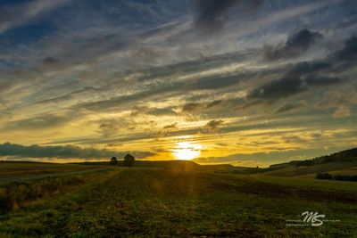 Scenic view of field against sky during sunset