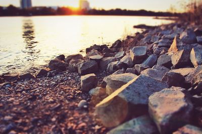 Surface level of rocks at sunset