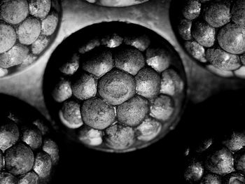 High angle view of blueberries