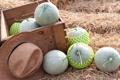 High angle view of multi colored ball on grass