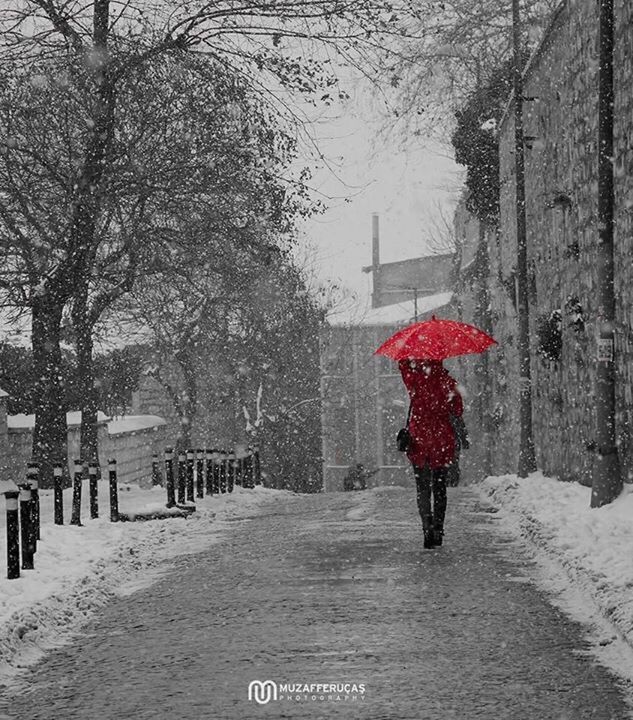 snow, winter, season, cold temperature, tree, weather, red, the way forward, rear view, walking, nature, road, street, full length, lifestyles, covering, frozen, bare tree