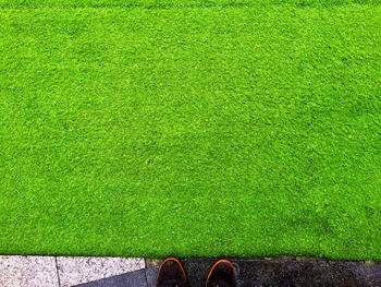 Low section of person standing on field