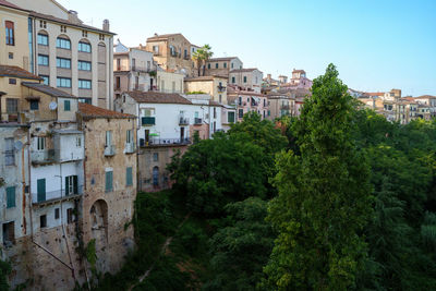 Buildings in forest