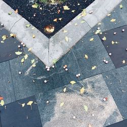 High angle view of sunlight falling on footpath