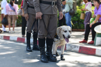 Low section of people with dog on street in city