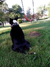 Woman with dog in park