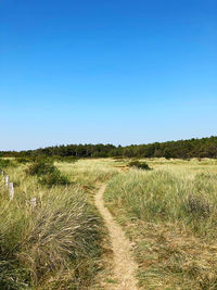 Scenic view of field against clear blue sky