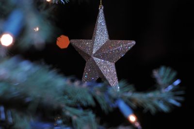 Close-up of illuminated christmas tree at night