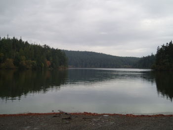 Scenic view of lake in forest against sky