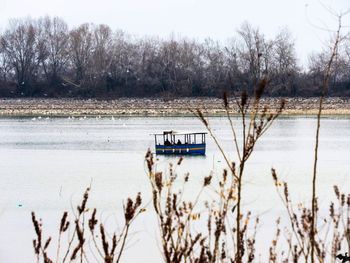 Scenic view of lake against bare trees