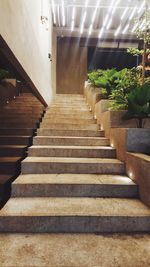 Staircase in corridor