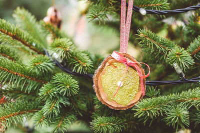 Close-up of christmas decorations