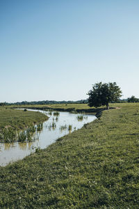 Scenic view of lake against clear sky