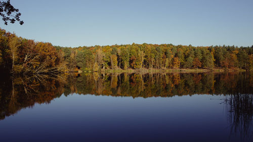 Scenic view of lake in forest against clear sky