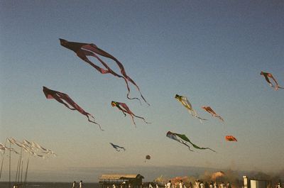 Low angle view of flying in sky