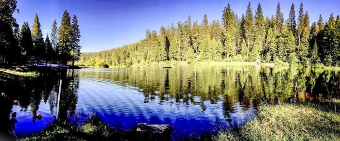 Reflection of trees in lake against sky